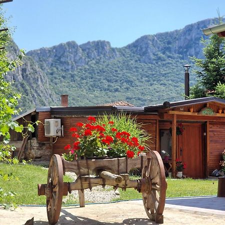 Konak -Guest House -Ramonda Serbika Nis Exterior photo